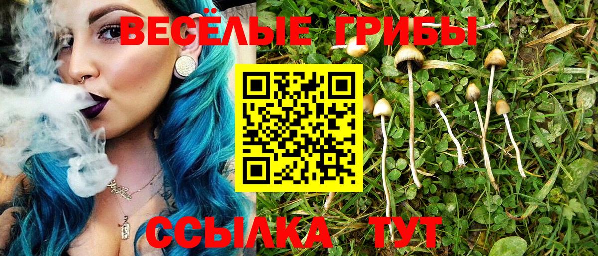 Галлюциногенные грибы ЛСД Прокопьевск