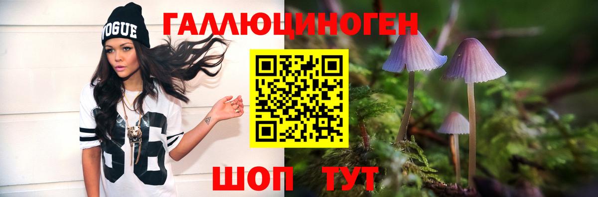 магазин  наркотиков  Псилоцибиновые грибы Magic Shrooms  Вход с VPN  Прокопьевск 